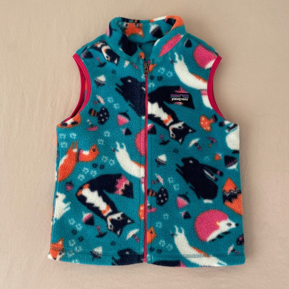 Patagonia toddler girl fleece vest